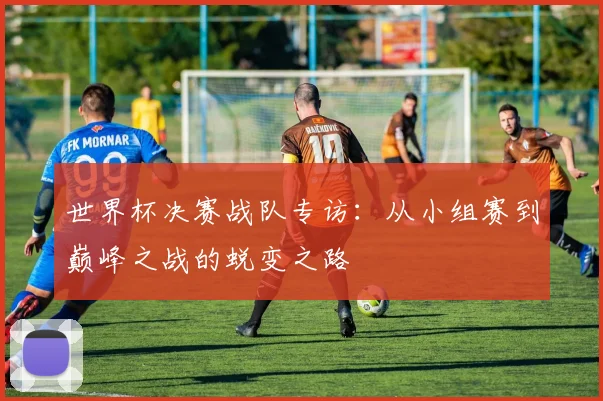 世界杯决赛战队专访：从小组赛到巅峰之战的蜕变之路