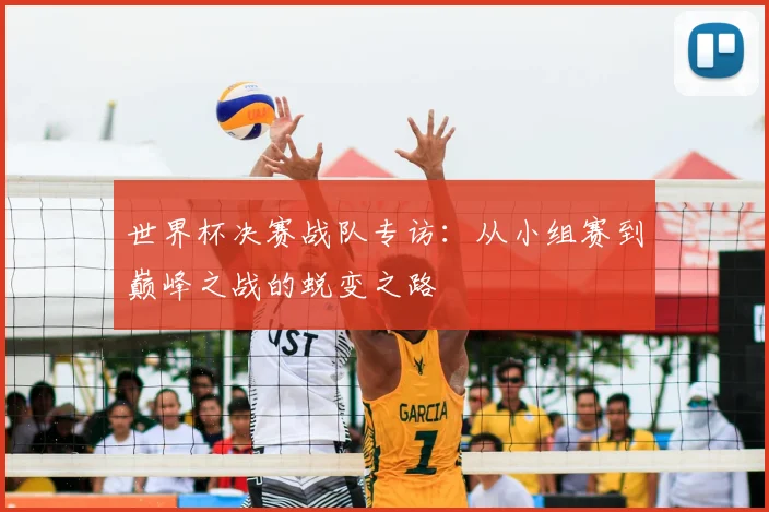 世界杯决赛战队专访:从小组赛到巅峰之战的蜕变之路