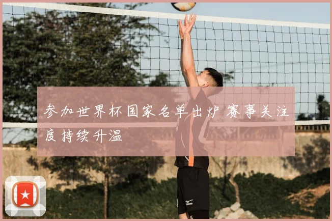 参加世界杯国家名单出炉 赛事关注度持续升温