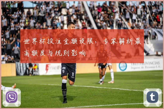 世界杯投注金额设限，专家解析最高额度与规则影响