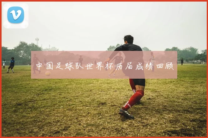 中国足球队世界杯历届成绩回顾
