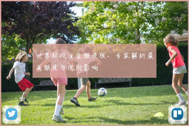 世界杯投注金额设限，专家解析最高额度与规则影响