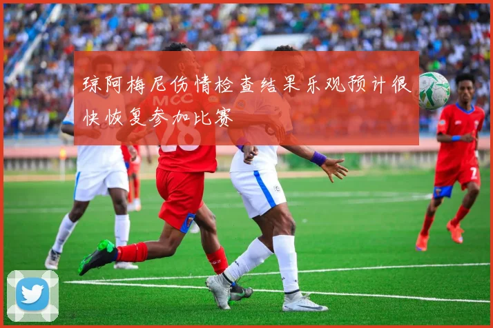 琼阿梅尼伤情检查结果乐观预计很快恢复参加比赛