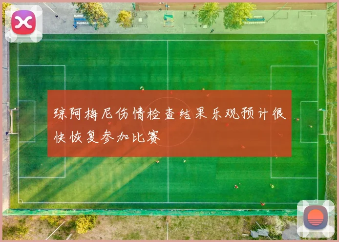 琼阿梅尼伤情检查结果乐观预计很快恢复参加比赛