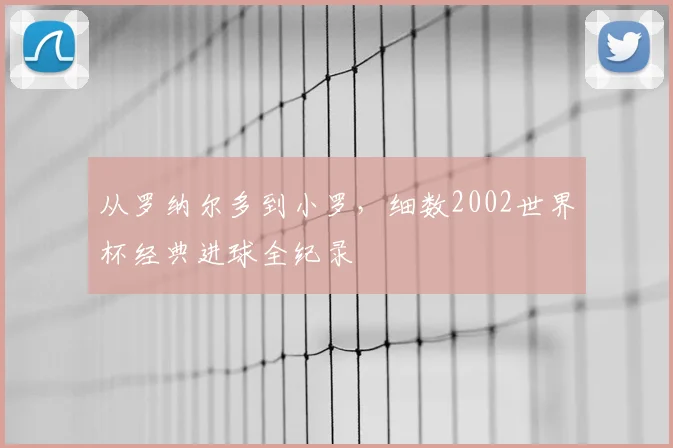 从罗纳尔多到小罗,细数2002世界杯经典进球全纪录